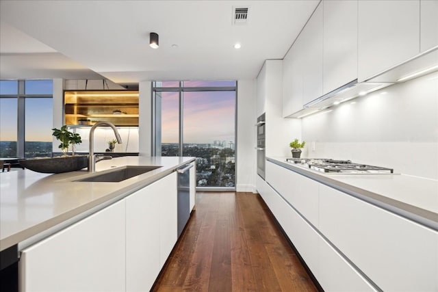 501 W Ave Unit 2904, Austin, TX 78701 - kitchen featuring appliances with stainless steel finishes, expansive windows, white cabinets, dark wood-style floors, and light countertops