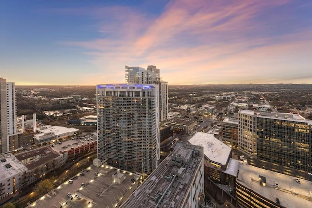 501 W Ave Unit 2904, Austin, TX 78701 - city view