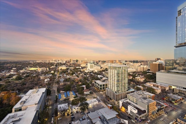 501 W Ave Unit 2904, Austin, TX 78701 - city view