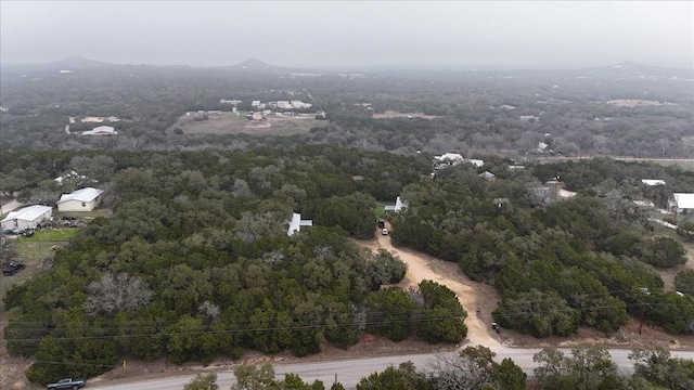 drone / aerial view featuring a mountain view