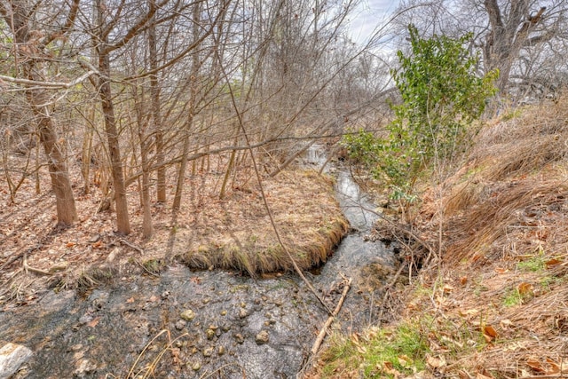 view of landscape