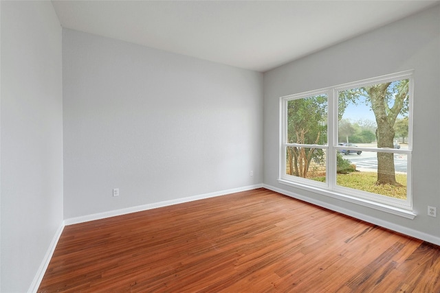 spare room with a wealth of natural light and wood-type flooring