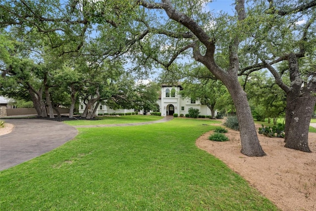 view of yard featuring curved driveway