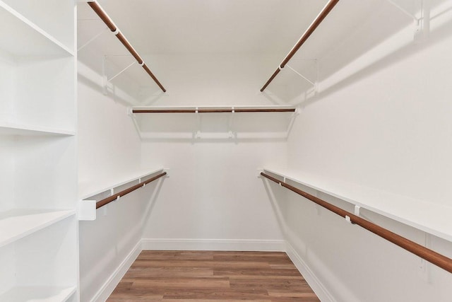 walk in closet with light wood-type flooring