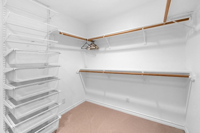 walk in closet featuring light colored carpet