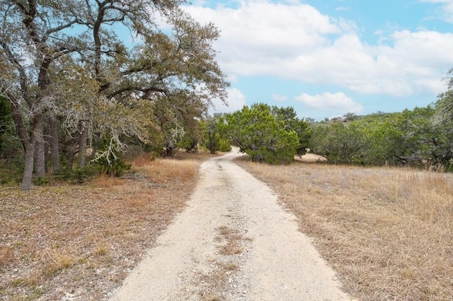 14100 Trail Driver, Austin, TX 78737 - photo 30