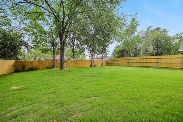 346 Webb St, Smithville, TX 78957 - photo 38
