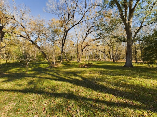 569 N Berry Rdg, Caldwell, TX 77836 - photo 26