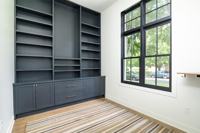 interior space with light wood-type flooring and a wealth of natural light