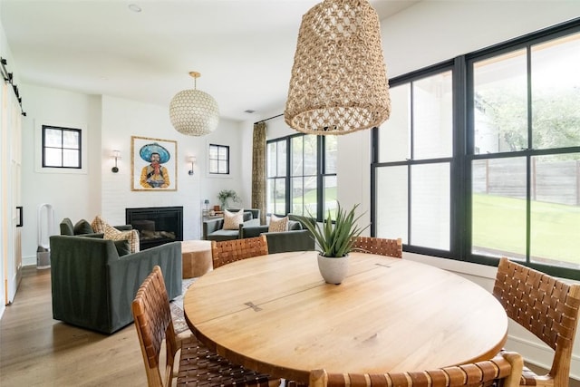 dining room featuring light wood-type flooring, a chandelier, and a barn door