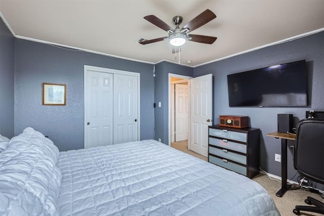 carpeted bedroom with ceiling fan, a closet, and crown molding