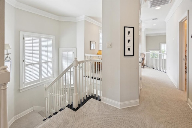 3800 Bailey Ln Unit F-1, Austin, TX 78756 - photo 12