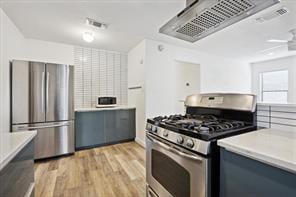 kitchen featuring light wood-type flooring, stainless steel appliances, and exhaust hood