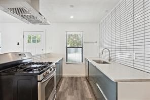 kitchen featuring sink, wood-type flooring, a wealth of natural light, and stainless steel range with gas cooktop