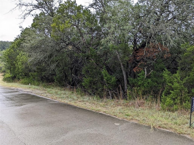 21001 Buena Vis, Lago Vista, TX 78645