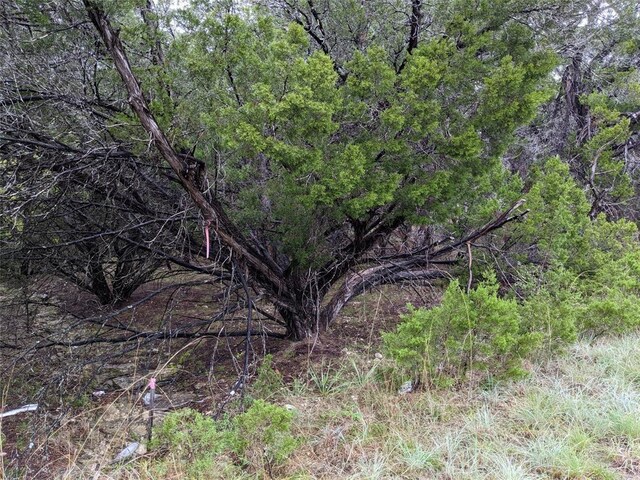 21001 Buena Vis, Lago Vista, TX 78645