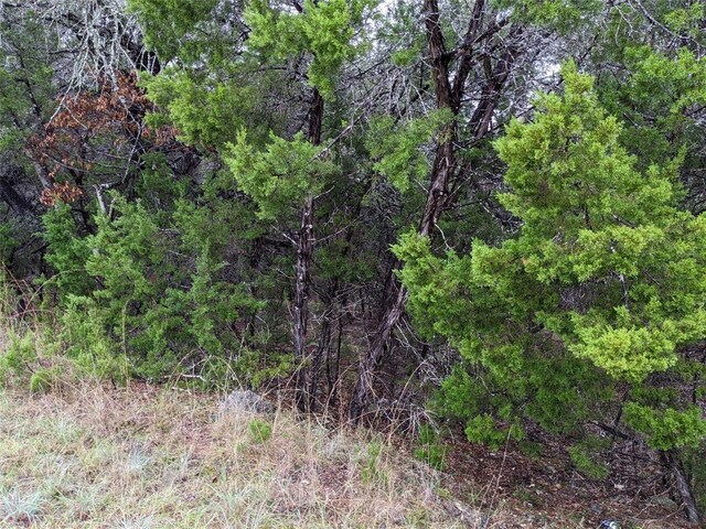 21001 Buena Vis, Lago Vista, TX 78645