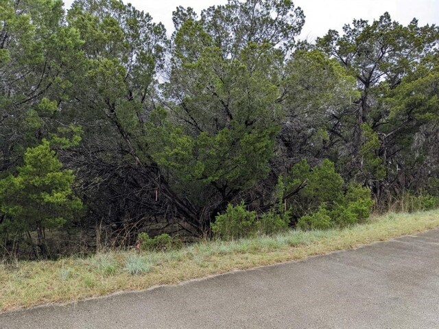 21001 Buena Vis, Lago Vista, TX 78645