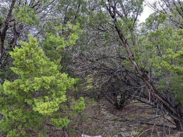 21001 Buena Vis, Lago Vista, TX 78645