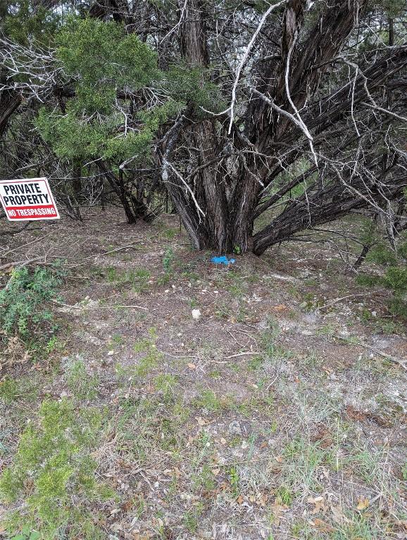 21001 Buena Vis, Lago Vista, TX 78645