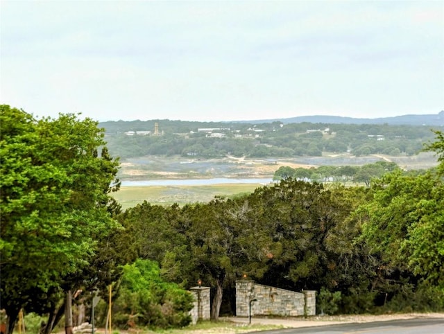 21003 Buena Vis, Lago Vista TX, 78645 land for sale