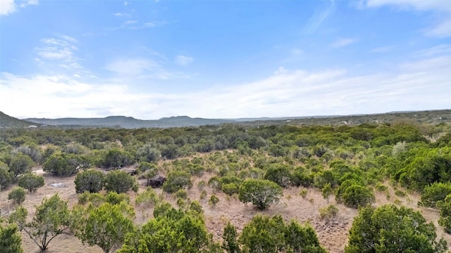 200 Shady River Rd, Wimberley, TX 78676 - view of mountain backdrop with a heavily wooded area