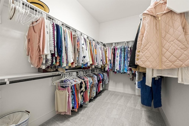 spacious closet featuring carpet floors