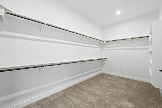2324 Bel Paese Bnd, Leander, TX 78641 - spacious closet featuring carpet