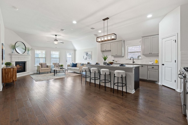 4131 Van Ness Ave, Round Rock, TX 78681 - kitchen with gray cabinetry, a breakfast bar, open floor plan, plenty of natural light, and vaulted ceiling