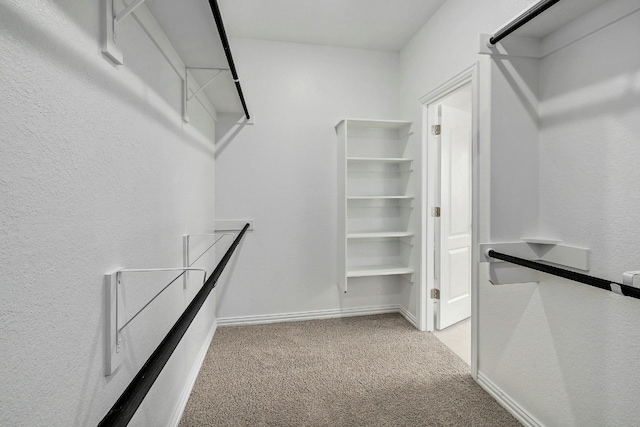 walk in closet with light carpet