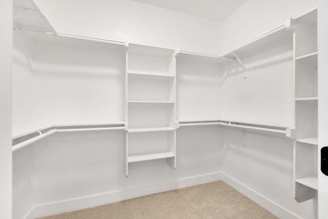 137 Puu Waa Waa Ln, Bastrop, TX 78602 - walk in closet with carpet