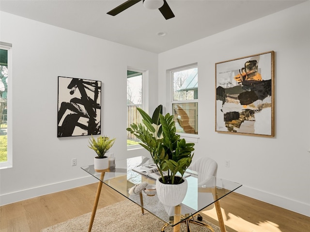 office space featuring a ceiling fan, baseboards, and wood finished floors