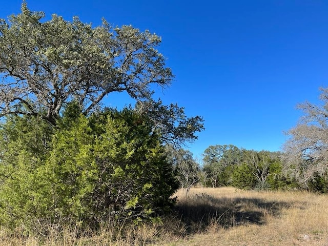 118 Spanish Oak Dr, Goldthwaite, TX 76844