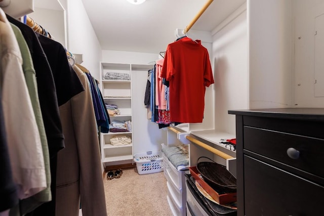 2900 Hi Mesa, Horseshoe Bay, TX 78657 - spacious closet with carpet floors