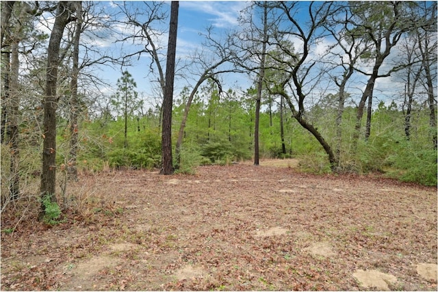 170 Woodland Ct, Bastrop, TX 78602 - photo 35