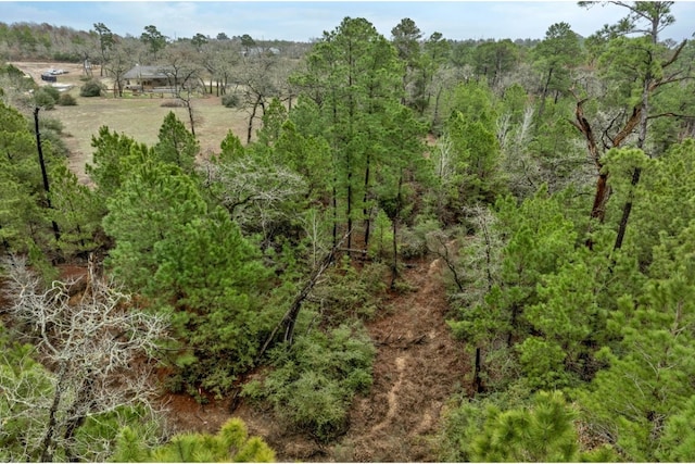 170 Woodland Ct, Bastrop, TX 78602 - photo 36