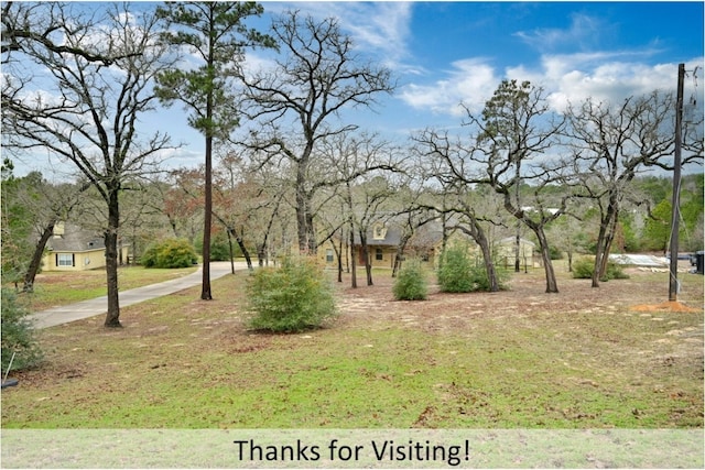 170 Woodland Ct, Bastrop, TX 78602 - photo 38