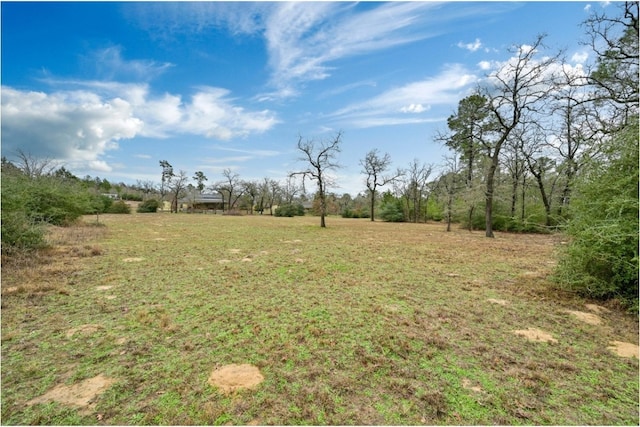 170 Woodland Ct, Bastrop, TX 78602 - photo 33