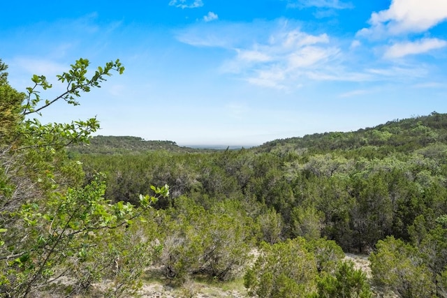 601 Mount Olive School Rd, Wimberley TX, 78676 land for sale