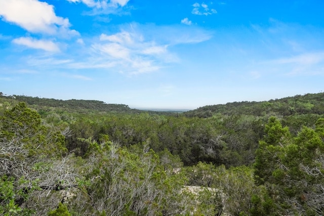 Listing photo 2 for 601 Mount Olive School Rd, Wimberley TX 78676