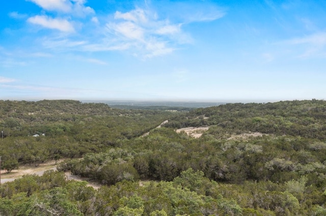 Listing photo 3 for 601 Mount Olive School Rd, Wimberley TX 78676