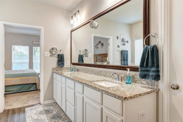 1330 Logan Blvd, Salado, TX 76571 - bathroom featuring healthy amount of natural light, double vanity, ensuite bath, and wood finished floors