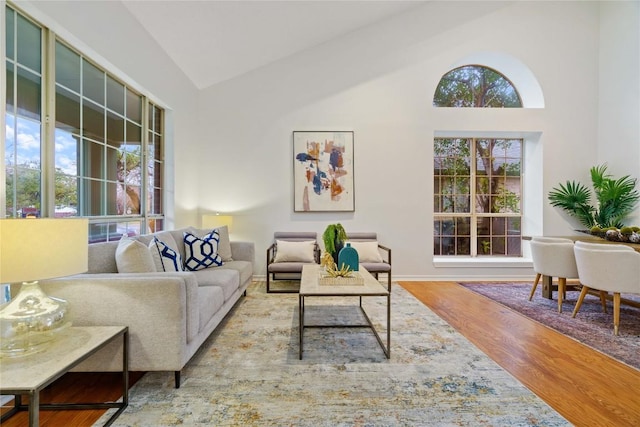 living area featuring high vaulted ceiling and wood finished floors