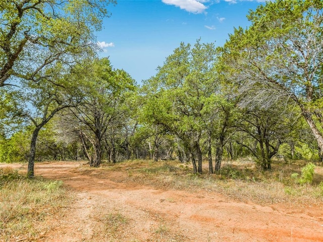 view of local wilderness