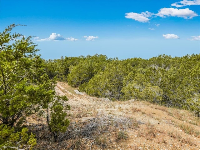 view of local wilderness