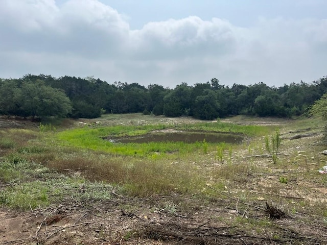 LOT1 Mcgregor Ln, Dripping Springs, TX 78620 - photo 11