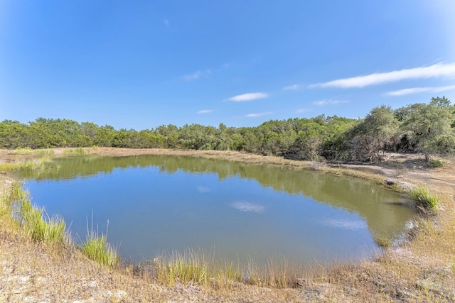 Listing photo 3 for LOT1 Mcgregor Ln, Dripping Springs TX 78620