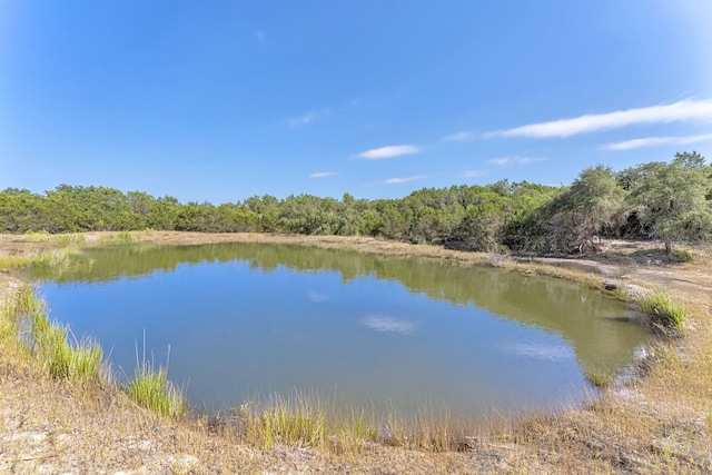 LOT1 Mcgregor Ln, Dripping Springs, TX 78620 - photo 3