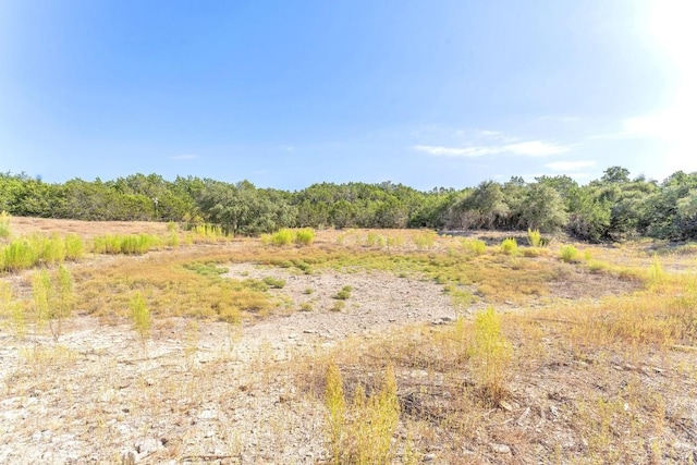 LOT1 Mcgregor Ln, Dripping Springs, TX 78620 - photo 4