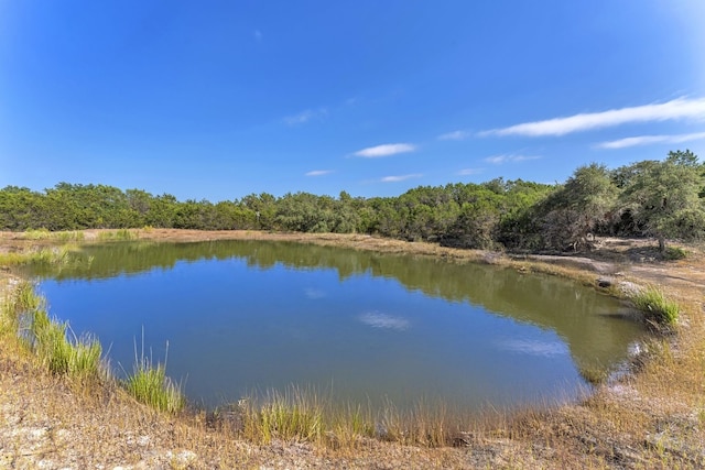 LOT1 Mcgregor Ln, Dripping Springs, TX 78620 - photo 6